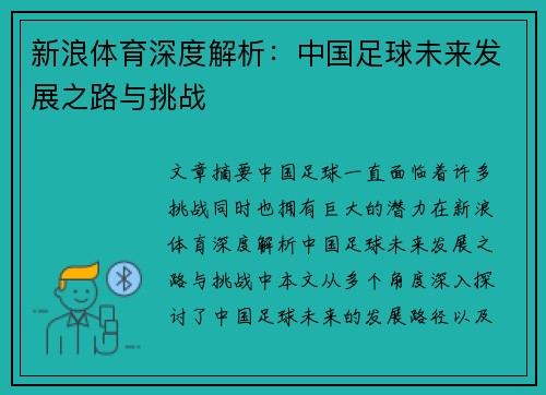 新浪体育深度解析：中国足球未来发展之路与挑战
