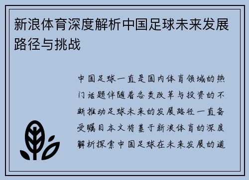 新浪体育深度解析中国足球未来发展路径与挑战